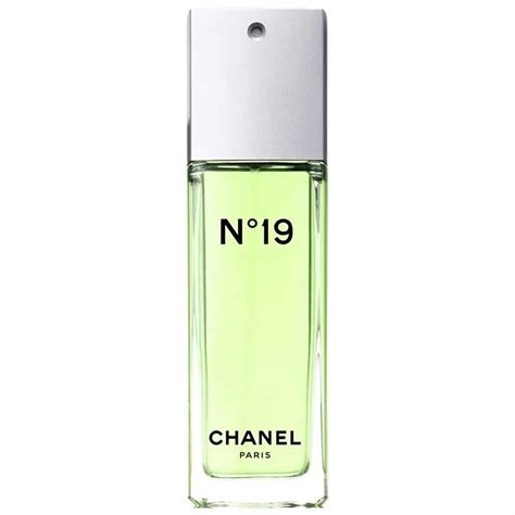 what does chanel 19 smell like|Chanel 19 sample.